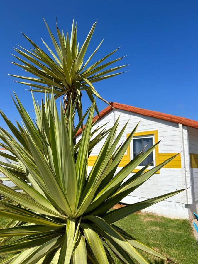 La Pinza Bl Am Daire El Palmar  Dış mekan fotoğraf